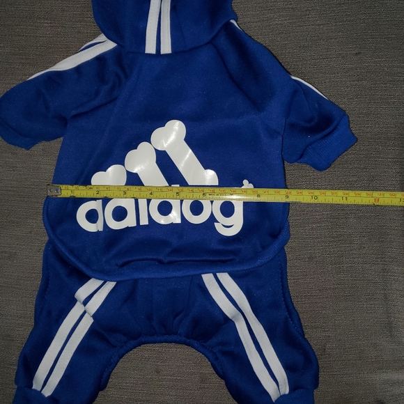Blue Adidog Hoodie Outfit for dogs. - Picture 5 of 6